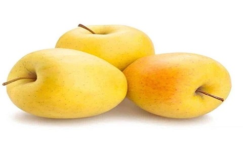 قیمت خرید سیب زرد ایرانی با فروش عمده